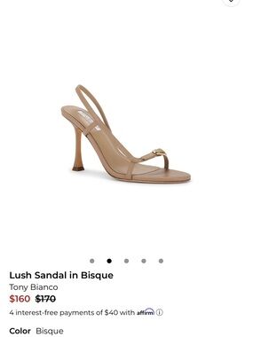 Tony Bianco Lush Sandal LIKE NEW